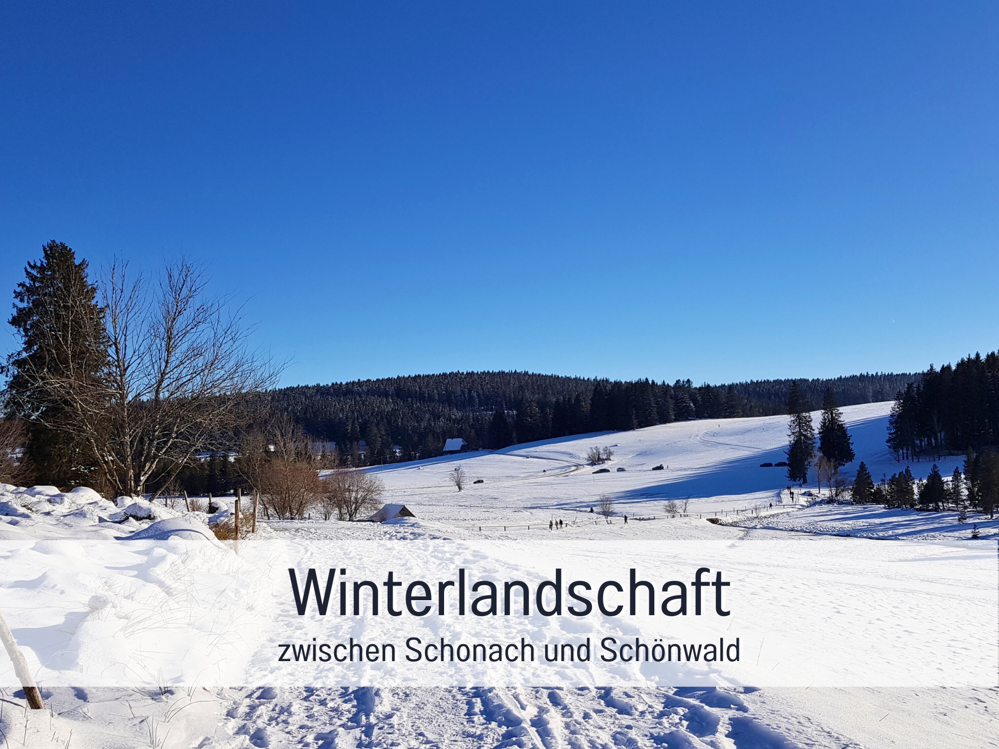 Ferienwohnung-Sonnenseite-Schonach-Schwarzwald-Winter-Schnee-Wandern-blauer-Himmel