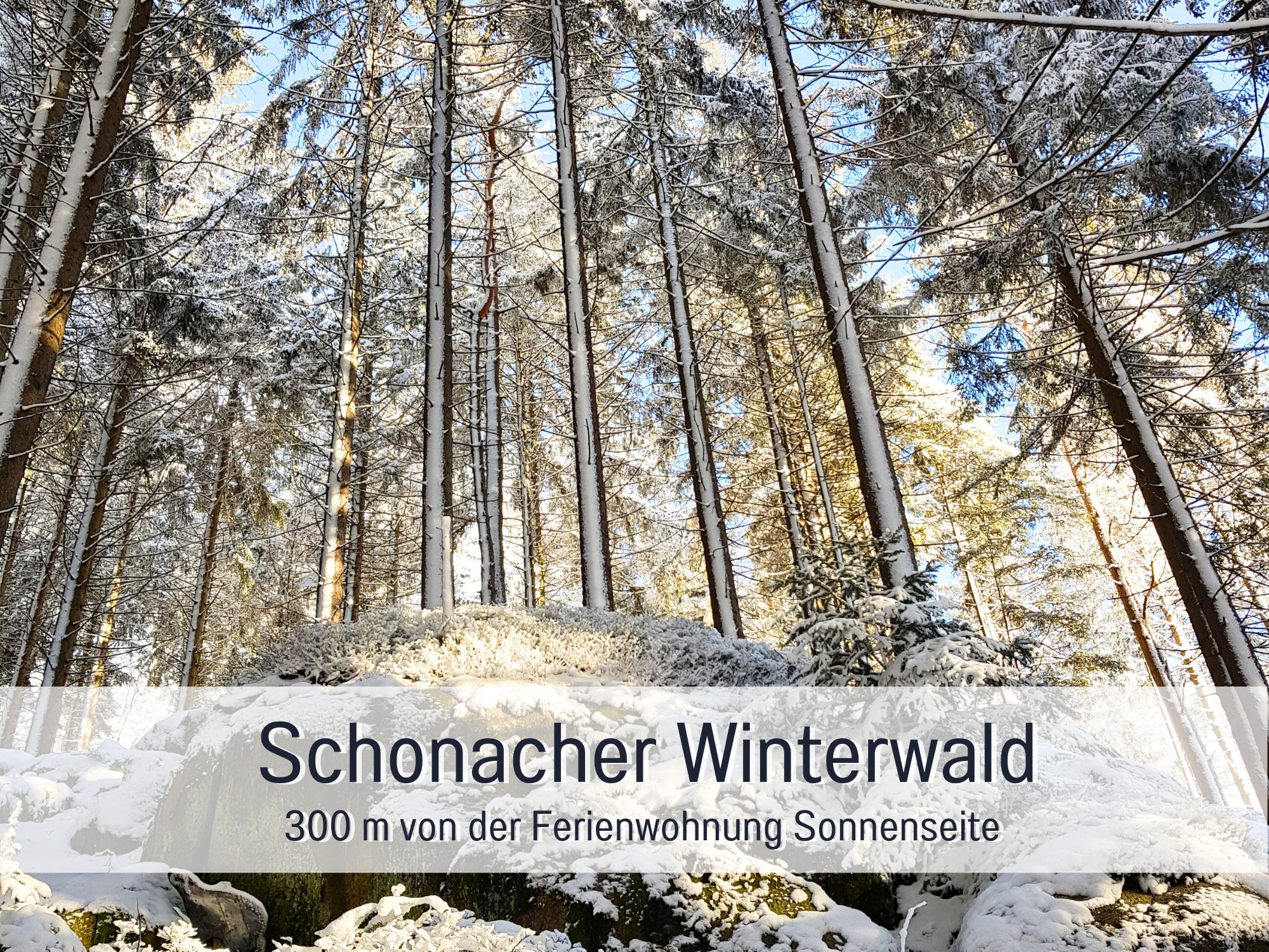 Ferienwohnung-Sonnenseite-Schonach-Schwarzwald-Winter-Wald-Schnee-Wandern-Herbst